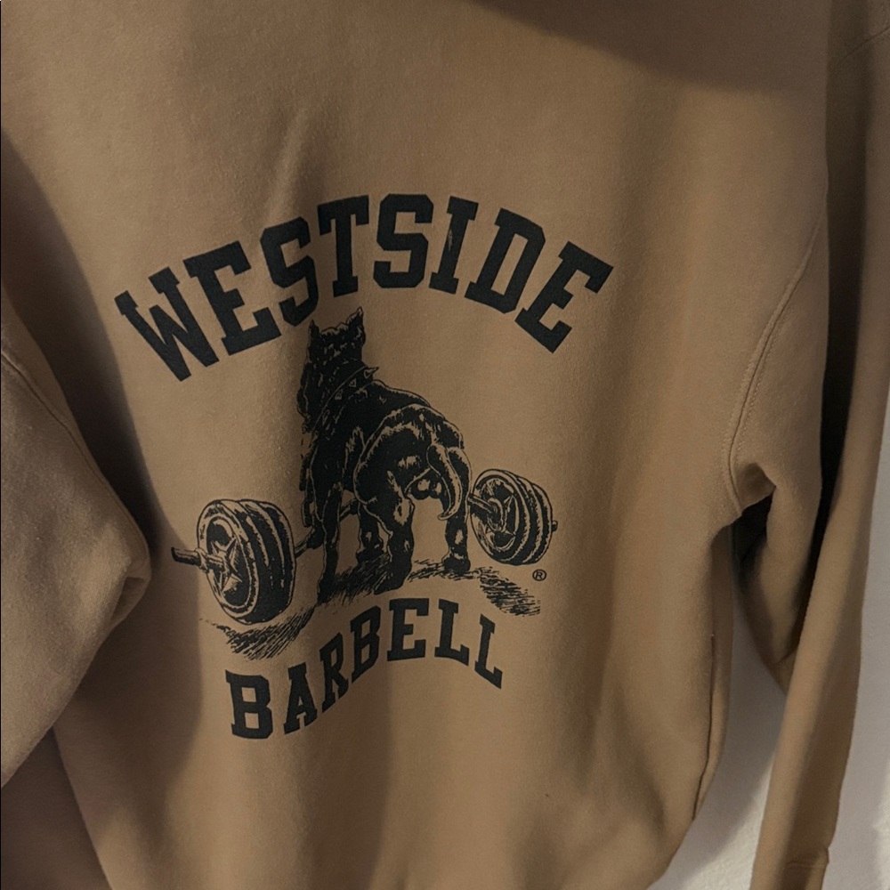 Tan Hoodie - Picture 3 of 4